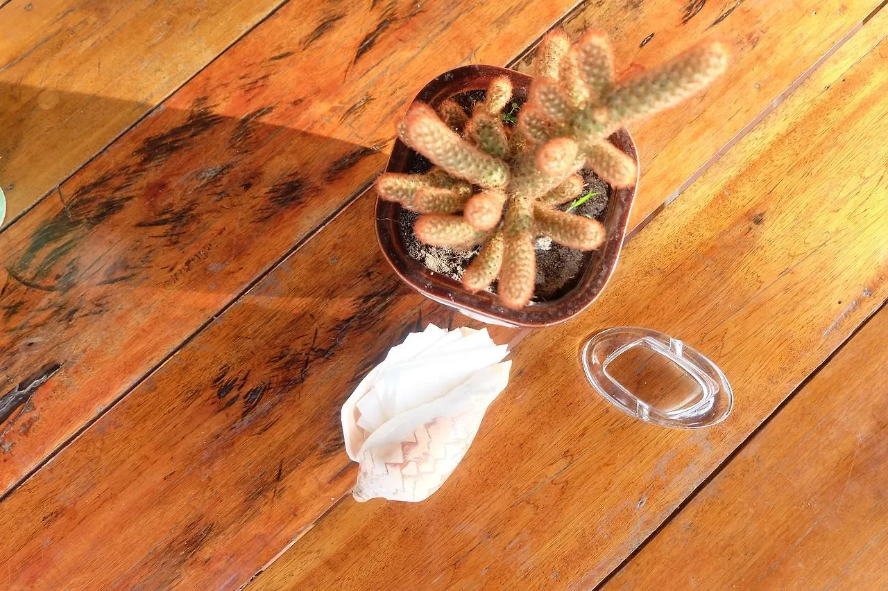 White Moon Bungalows Hostel Sihanoukville 0*,