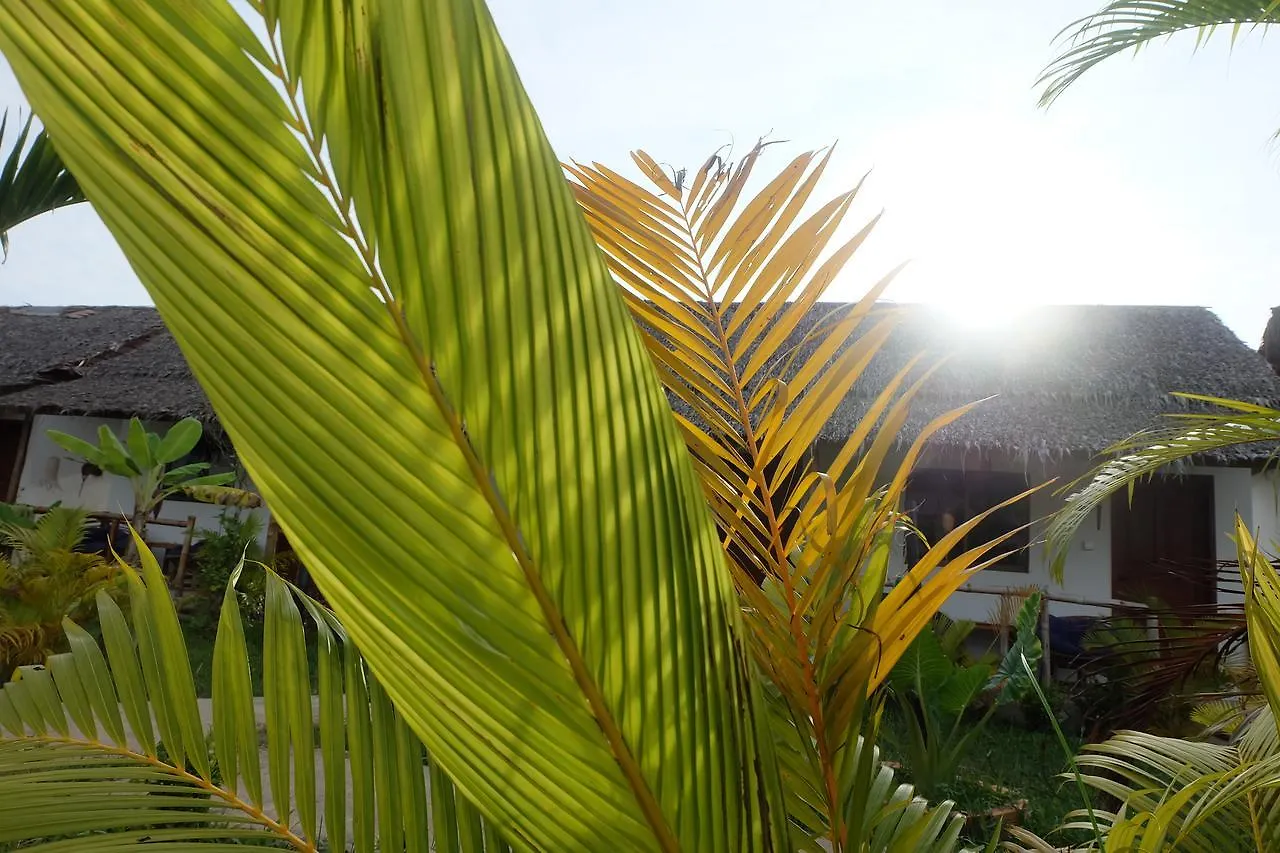 White Moon Bungalows Hostel Sihanoukville